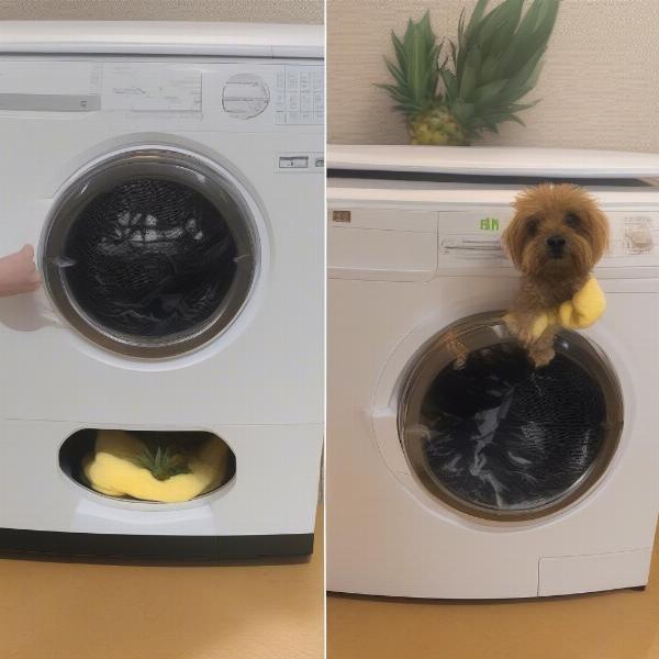 Cleaning a Pineapple Dog Bed