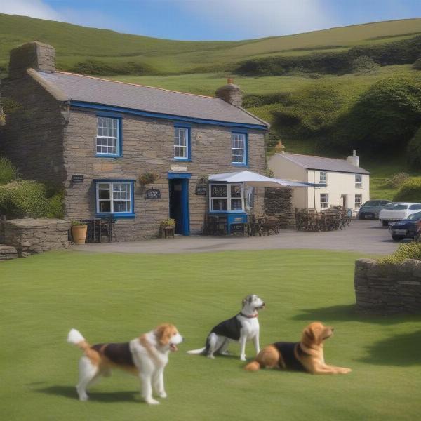 Coastal Pub in Pembrokeshire