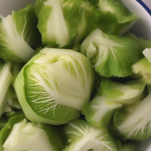 Cooked cabbage for dogs