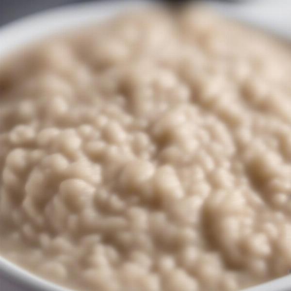 A bowl of plain cooked oatmeal ready for a dog.