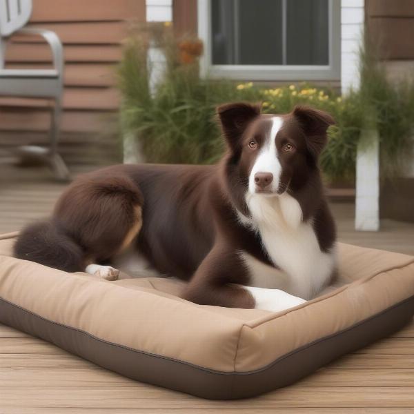 Cow dog bed placed outdoors, showcasing its durability and weather-resistance