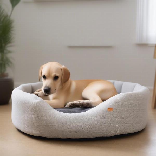 Custom Dog Bed Size Guide