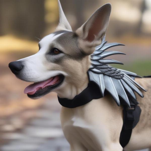 Ensuring Safety and Comfort when Your Dog Wears Dragon Wings