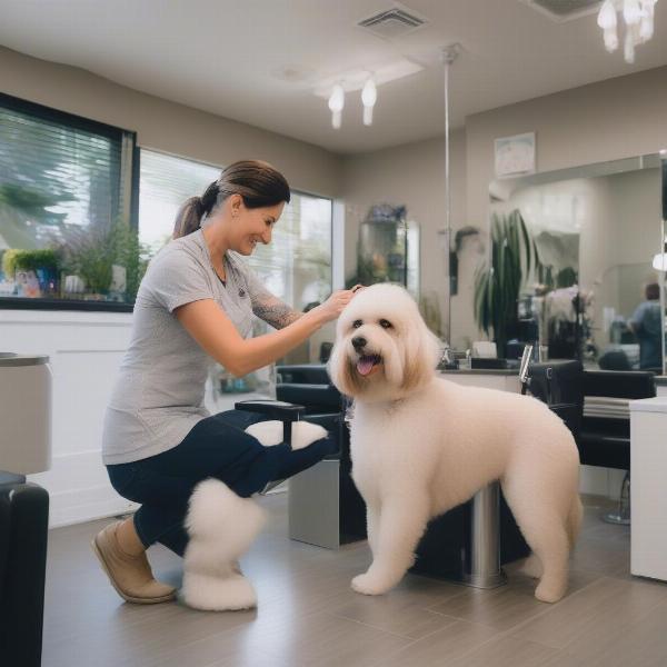 Dana Point Dog Grooming: Finding the Perfect Pampering for Your Pup