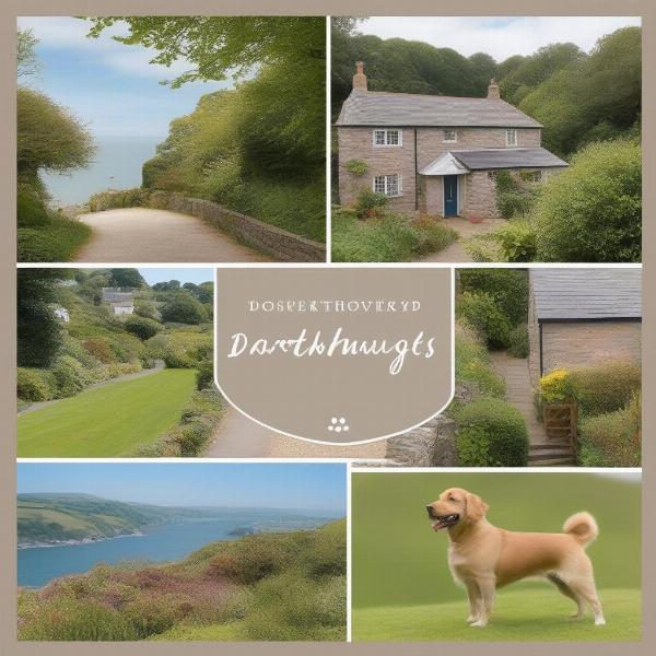 Dog-Friendly Cottages in Dartmouth