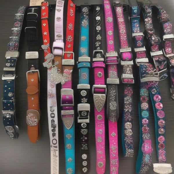 Variety of decorated dog collars