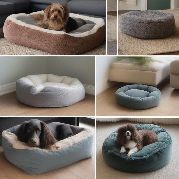 Various dog bean bag beds in different shapes and colors