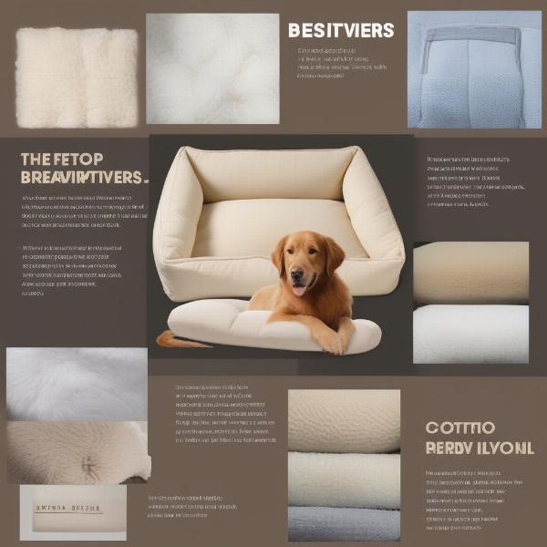 Various Dog Bed Materials for Golden Retrievers