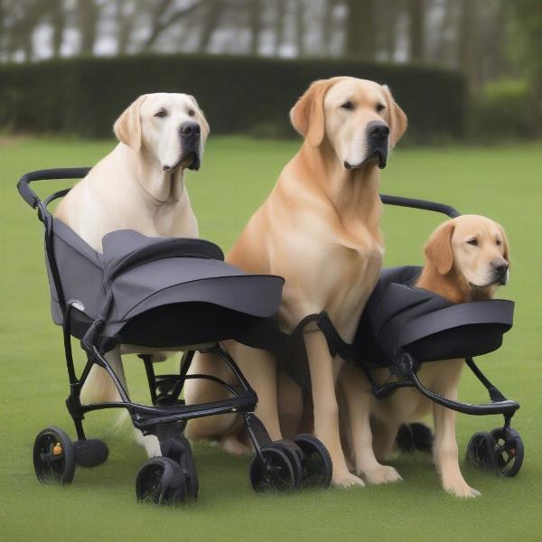 Extra Large Dog Prams for Different Breeds