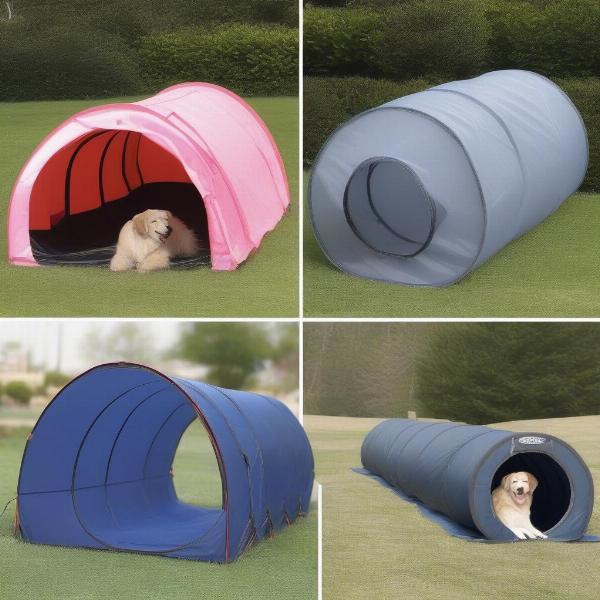 Different Dog Tunnels