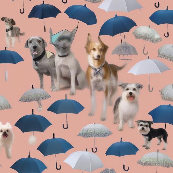 Variety of Dog Umbrellas: Sizes and Designs