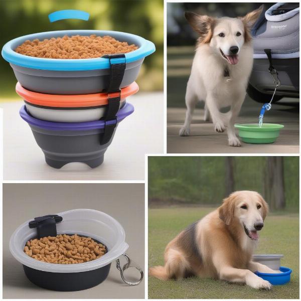 Different Portable Dog Bowls