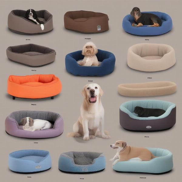 Variety of burrow beds available for dogs