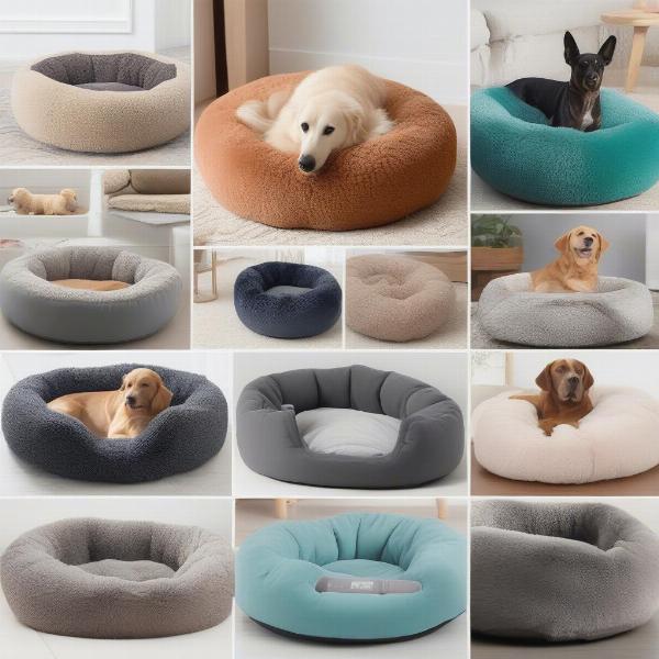 Different types of calming dog beds available for dogs