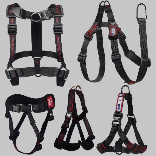 Different types of dog harnesses for bulldogs