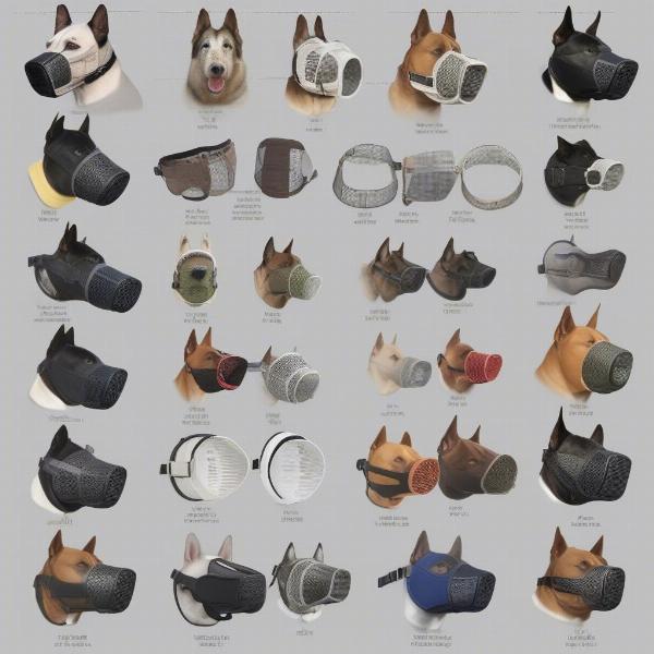 Different types of muzzles for dogs