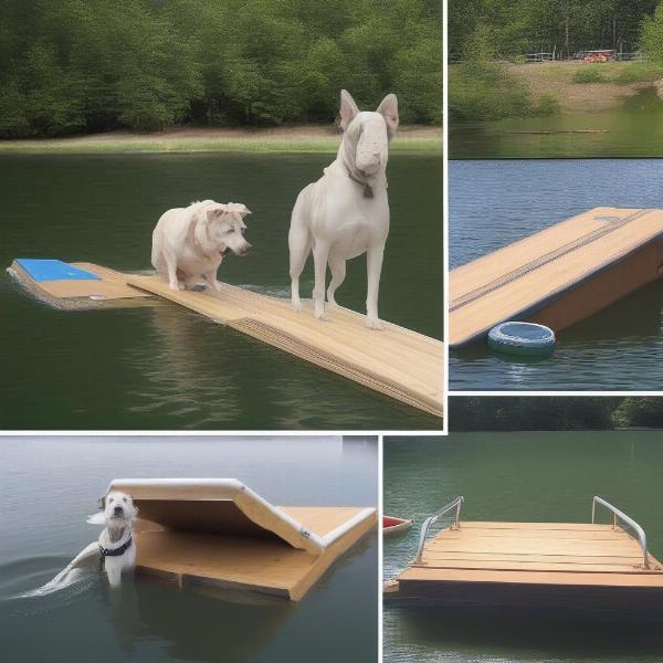 Different types of dog water ramps available for boats and docks.