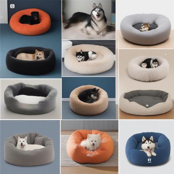 Different Types of Husky Beds