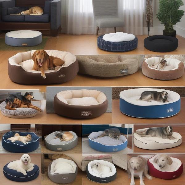 Various types of washable large dog beds, showcasing different shapes, materials, and fillings.