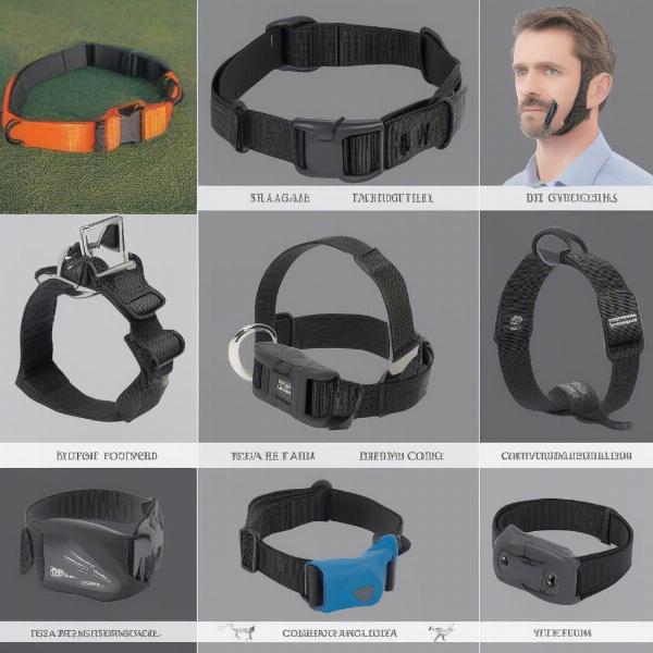 Different types of shock collars