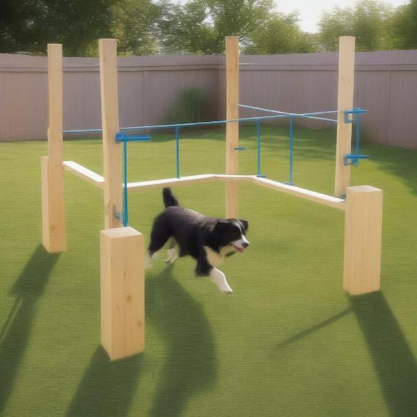 DIY Dog Agility Course in Australia