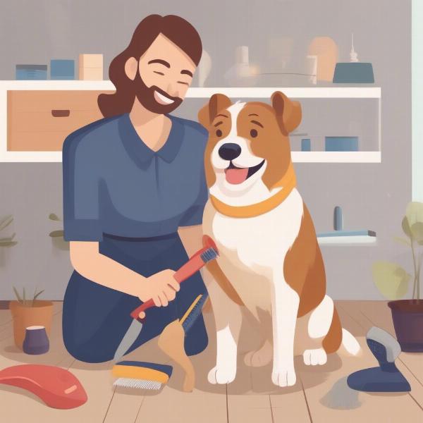 DIY Dog Grooming in Celbridge