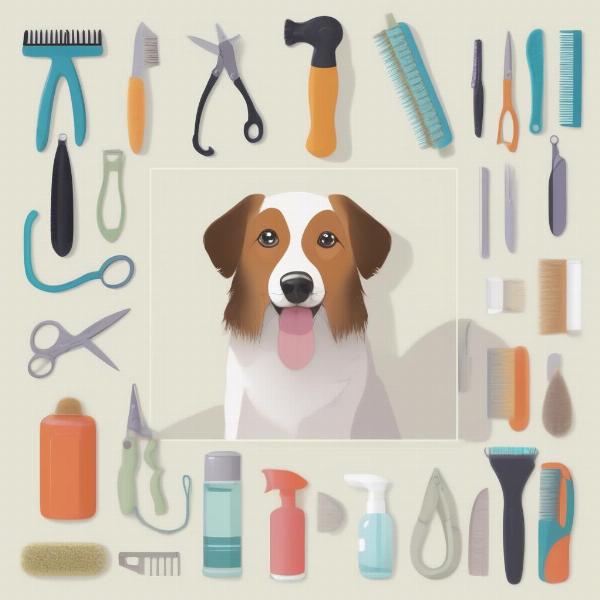 DIY Dog Grooming in Droitwich