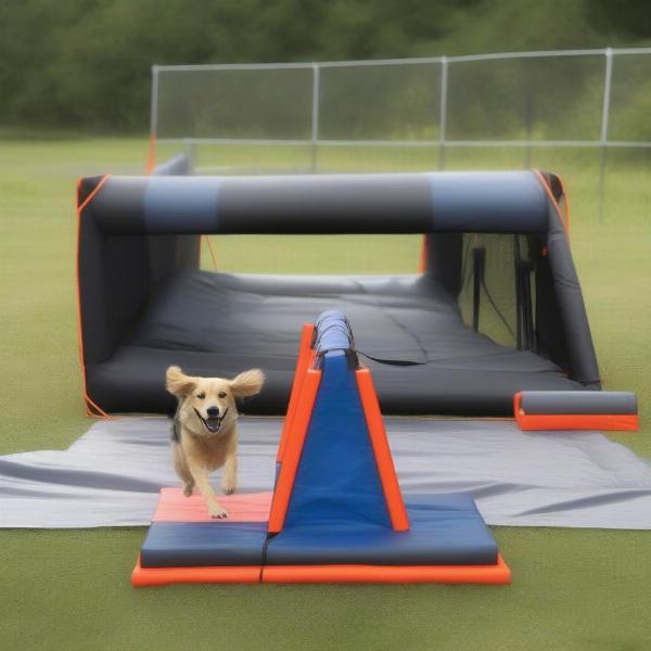 Dog Agility Starter Kit