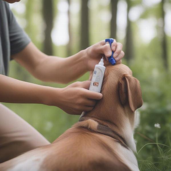 Applying Natural Tick Repellent to a Dog