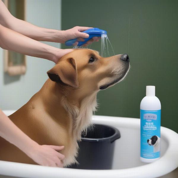 A dog being bathed with anti-shed shampoo