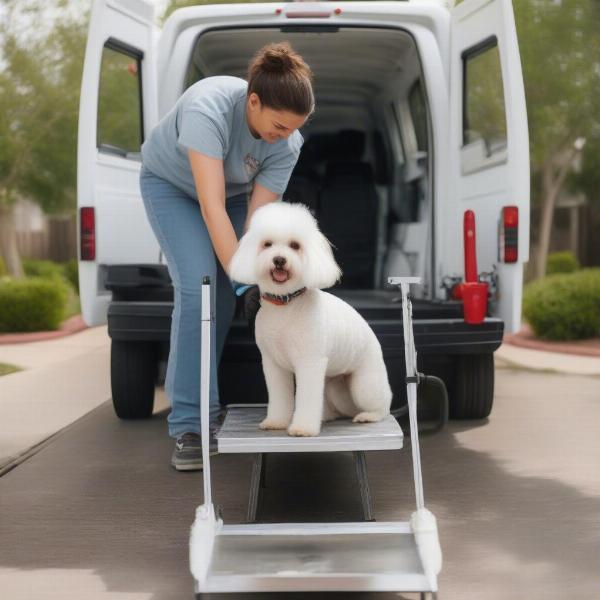 Dog being groomed in its home driveway in Lubbock by mobile grooming service.