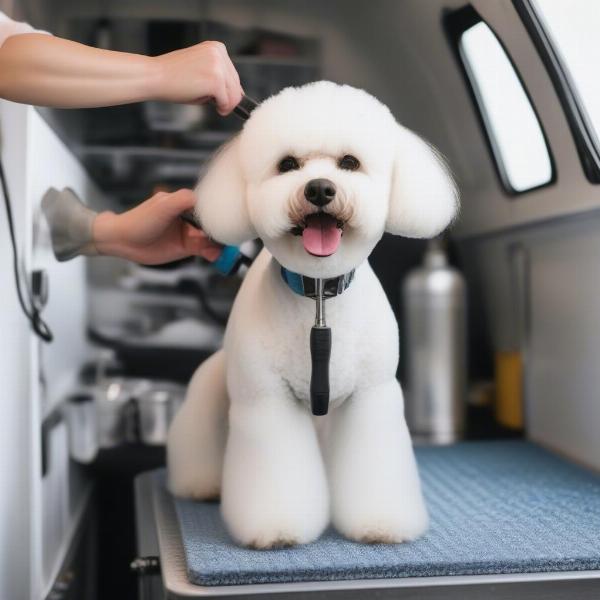 A dog is being groomed inside a mobile grooming van in London, Ontario