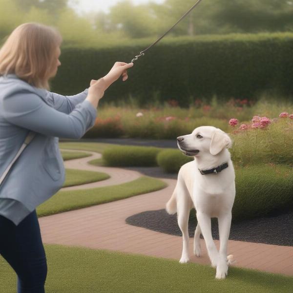 Dog Being Trained in Garden