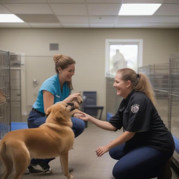 Staff Interacting with Dogs at a Decatur Boarding Facility