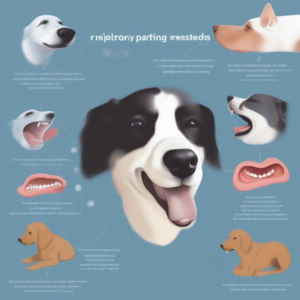 Dog Breathing Problems: Recognizing Symptoms