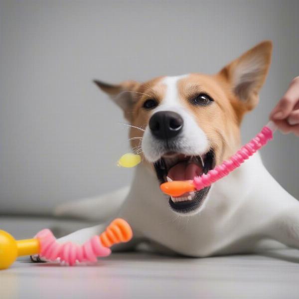 Dog Chewing on a Dental Toy