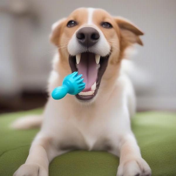 Dog Chewing on a Dental Toy