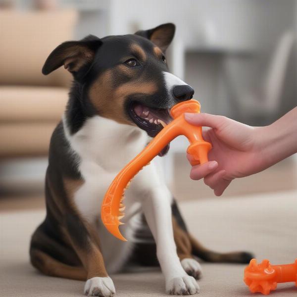 Dog Chewing on a Nylabone Safely