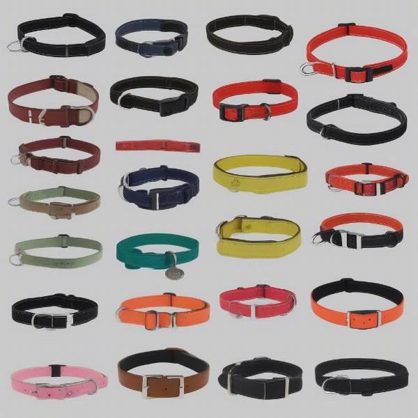 Different Types of Dog Collars in the UK