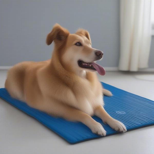 Dog cooling mat pressure activated