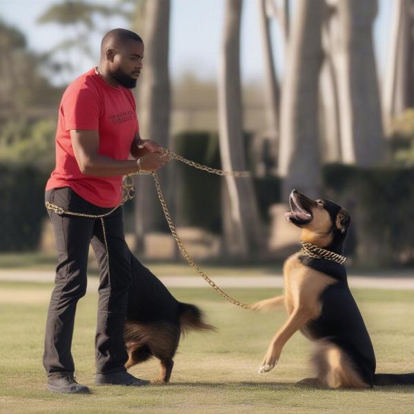 Dog Cuban Link Collar Training