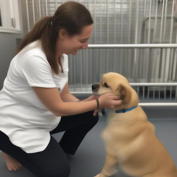 A staff member interacting with a dog at a Kent dog daycare