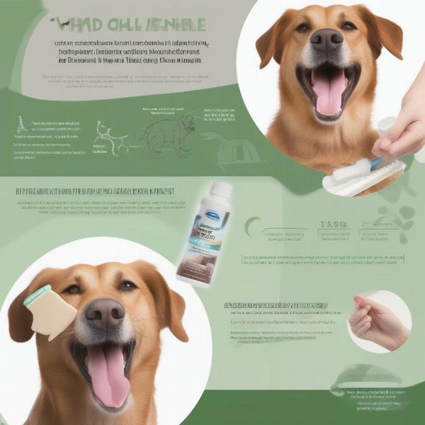 Dog dental care routine