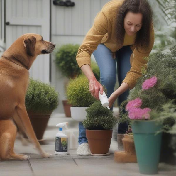 Dog Deterrent Spray for Plants