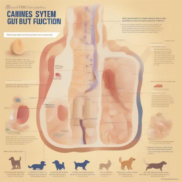 Importance of Fiber for Dog's Digestive Health