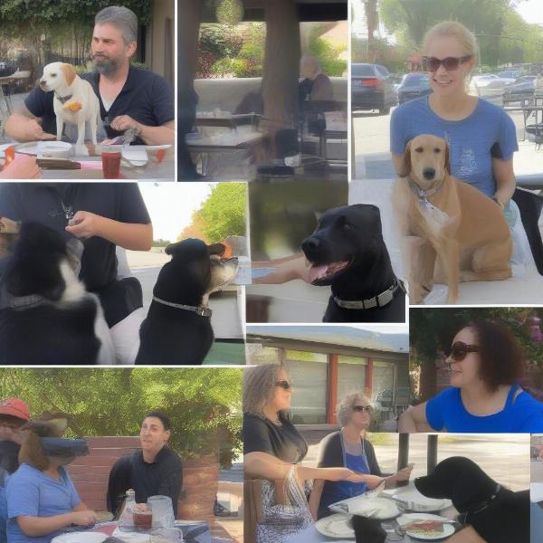 Dog dining etiquette in Riverside