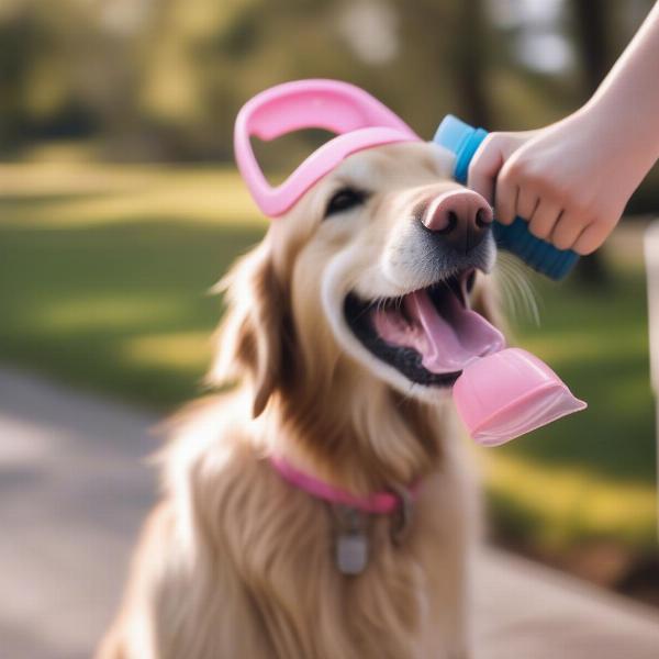 Dog drinking water from a portable flask