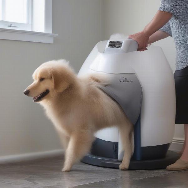 Proper techniques for drying a dog with a high velocity dryer