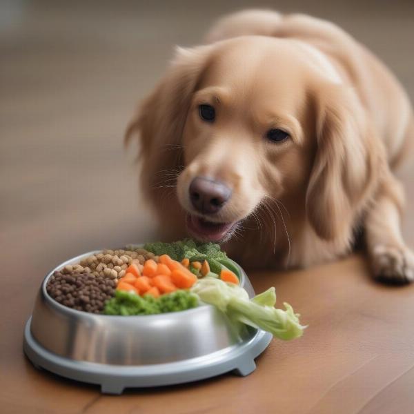 Dog Eating Balanced Meal from a Bowl