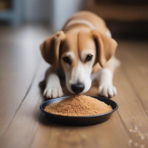 Dog Enjoying Bulgur Wheat